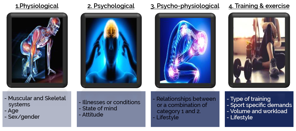 Figure 2. Factors influencing posture